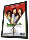 Swingtown 11 x 17 TV Poster - Style A - in Deluxe Aluminum Frame