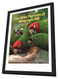 The Wild Parrots of Telegraph Hill 11 x 17 Movie Poster - Style A - in Deluxe Wood Frame