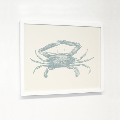 Natural Crab - Blue - White Canvas Image Box by OBC 11 X 14