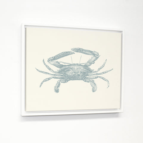 Natural Crab - Blue White Floating Frame by OBC 11 X 14