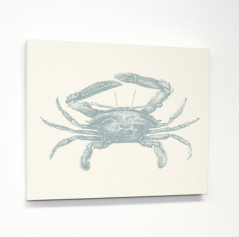 Natural Crab - Blue Canvas by OBC 11 X 14