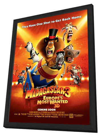 Madagascar 3 11 x 17 Movie Poster - Style D - in Deluxe Aluminum Frame