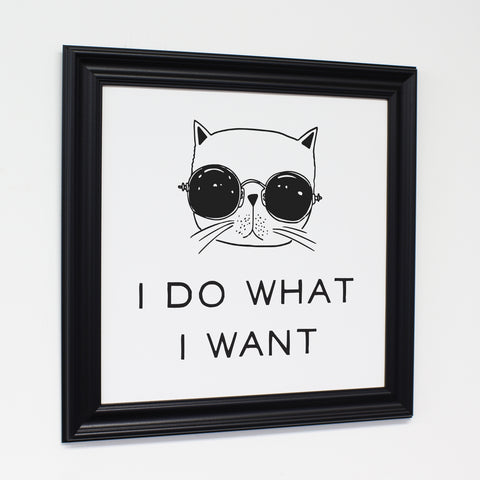 Do What I Want Cat - White 12x12 Black Traditional Framed Canvas by OBC 12 X 12