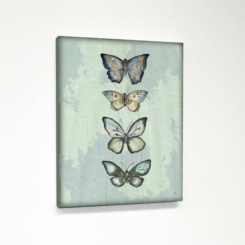 World Of Butterflies - Blue Premium Gallery Wrap by Jennifer Rizzo Design 11 X 14