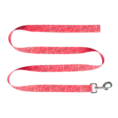 NCAA Wisconsin Badgers Team Pet Lead, 1-inch by 60-inches