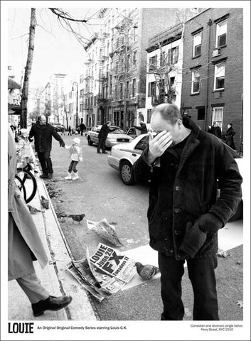 Louie (TV) 11 x 17 TV Poster - Style A