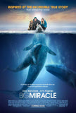 Big Miracle 11 x 17 Movie Poster - Style A