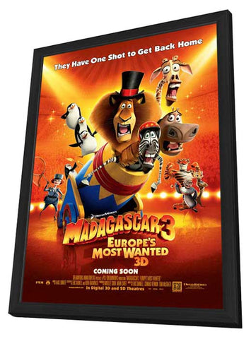 Madagascar 3 11 x 17 Movie Poster - Style D - in Deluxe Aluminum Frame