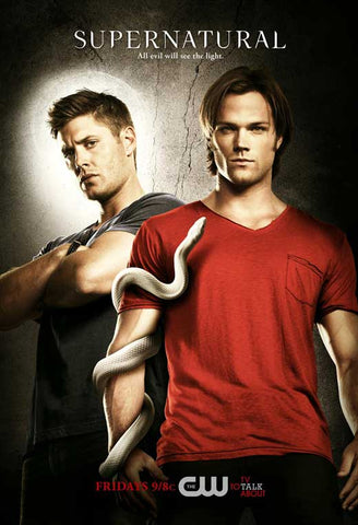 Supernatural (TV) 27 x 40 TV Poster - Style E