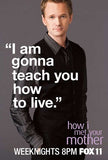 How I Met Your Mother 11 x 17 TV Poster - Style F