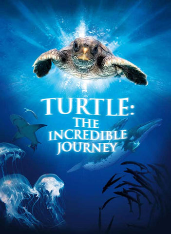 Turtle: The Incredible Journey 11 x 17 Movie Poster - Style B