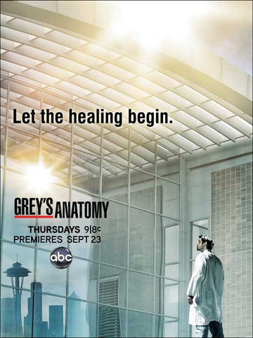 Grey's Anatomy 11 x 17 TV Poster - Style I