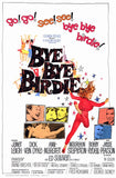 Bye Bye Birdie 11 x 17 Movie Poster - Style A