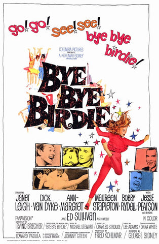 Bye Bye Birdie 11 x 17 Movie Poster - Style A