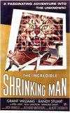 The Incredible Shrinking Man 11 x 17 Movie Poster - Style A