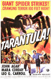 Tarantula 11 x 17 Movie Poster - Style A