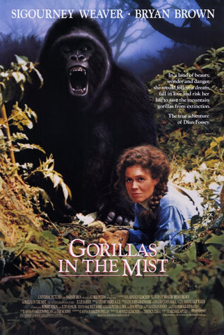 Gorillas in the Mist 11 x 17 Movie Poster - Style A