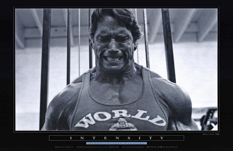 Pumping Iron 11 x 17 Movie Poster - Style C