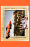 The Dukes of Hazzard 11 x 17 Movie Poster - Style C