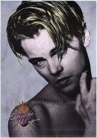 Leonardo DiCaprio 27 x 40 Movie Poster - Style C