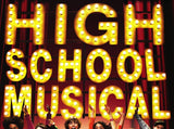 High School Musical 11 x 17 Movie Poster - Style E