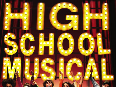 High School Musical 11 x 17 Movie Poster - Style E