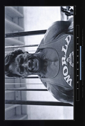 Arnold Schwarzenegger 27 x 40 Movie Poster - Style C