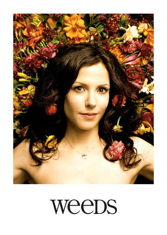 Weeds (TV) 11 x 17 TV Poster - Style K