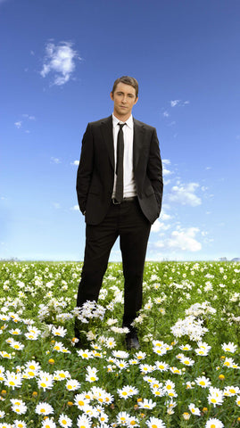 Pushing Daisies (TV) 11 x 17 TV Poster - Style D
