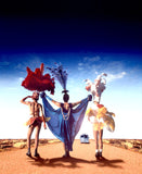 The Adventures of Priscilla, Queen of the Desert 11 x 17 Movie Poster - Style B