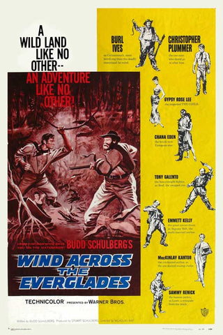 Wind Across the Everglades 11 x 17 Movie Poster - Style A