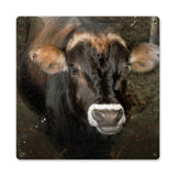 Cow Face Metal Sign Wall Decor 12 x 12