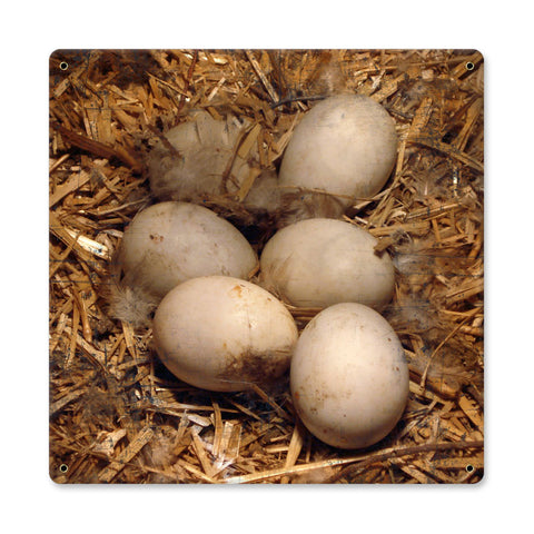 Eggs in Hay Metal Sign Wall Decor 12 x 12