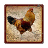 Rooster Metal Sign Wall Decor 12 x 12