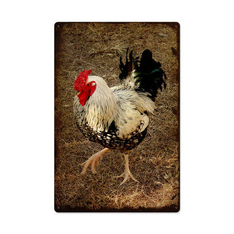 Rooster Metal Sign Wall Decor 16 x 24