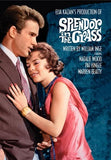 Splendor in the Grass 11 x 17 Movie Poster - Style C