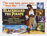 Blackbeard the Pirate 22 x 28 Movie Poster - Half Sheet Style A