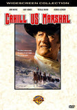 Cahill U.S. Marshal 11 x 17 Movie Poster - Style D