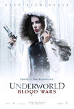 Underworld: Blood Wars 27 x 40 Movie Poster - Style F