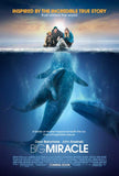 Big Miracle 27 x 40 Movie Poster - Style A