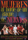 Women on the Verge of a Nervous Breakdown 11 x 17 Movie Poster - Swedish Style C
