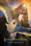 Legend of the Guardians: The Owls of Ga'Hoole 27 x 40 Movie Poster - Style B