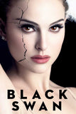Black Swan 27 x 40 Movie Poster - Style G