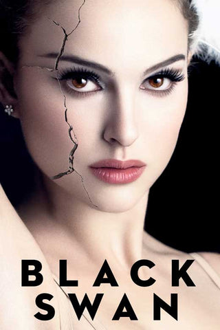 Black Swan 27 x 40 Movie Poster - Style G