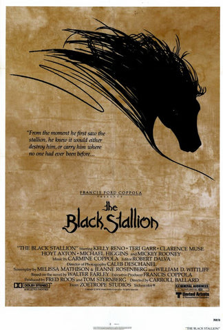 Black Stallion 11 x 17 Movie Poster - Style A