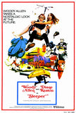 Sleeper 27 x 40 Movie Poster - Style A
