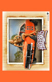 The Dukes of Hazzard 11 x 17 Movie Poster - Style D