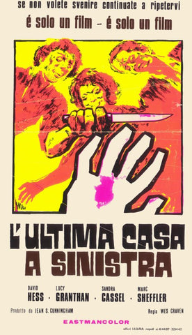 Last House on the Left 27 x 40 Movie Poster - Italian Style A