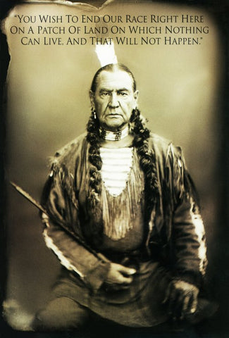 Bury My Heart at Wounded Knee 11 x 17 Movie Poster - Style E