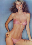 Cheryl Tiegs 11 x 17 Movie Poster - Style A